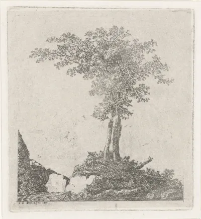 Twee bomen