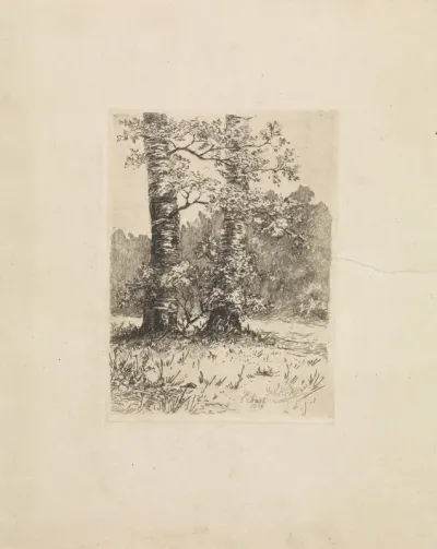 Twee bomen