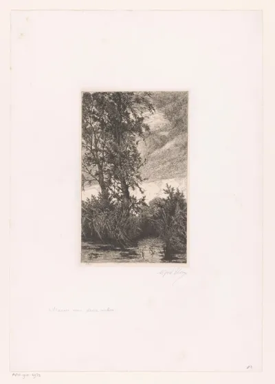 Twee bomen aan het water