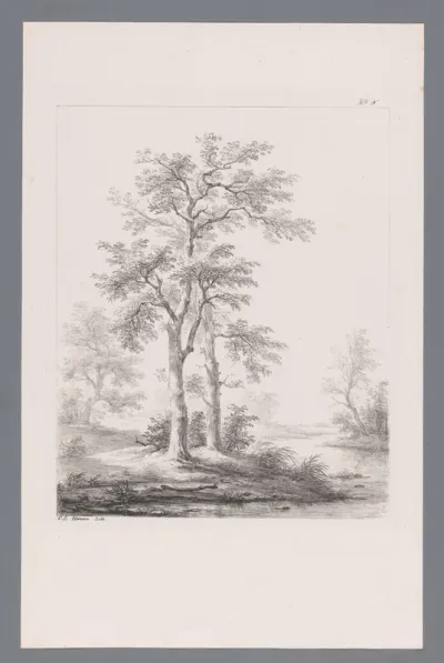 Twee bomen bij een rivier