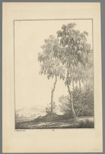 Twee bomen in een berglandschap