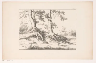 Twee bomen in landschap