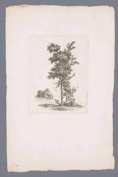 Twee bomen met op achtergrond een struik