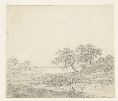 Twee bomen op een helling