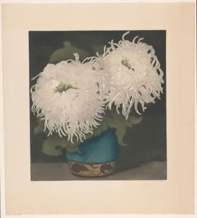 Twee chrysanten