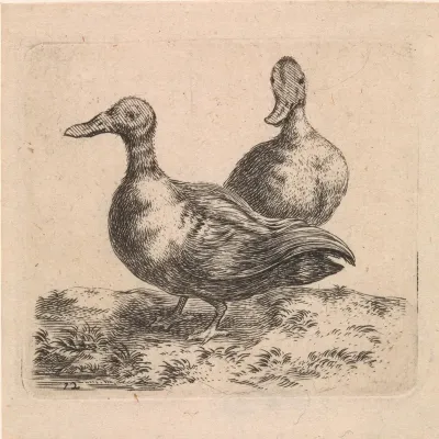 Twee eenden