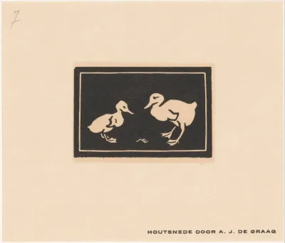 Twee eendenkuikens