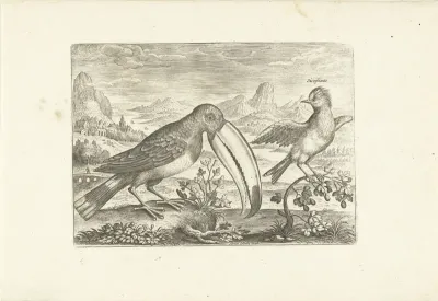 Twee exotische vogels in een landschap