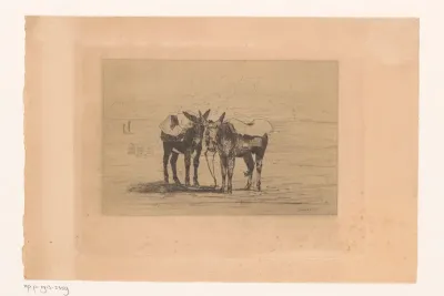 Twee ezels aan het strand