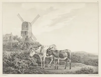 Twee ezels in een landschap bij een molen