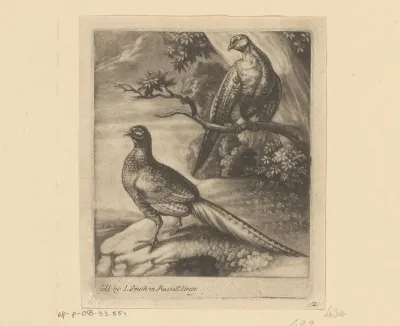 Twee fazanten