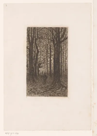 Twee figuren in een bos met hoge bomen