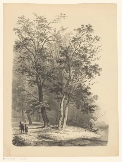 Twee figuren wandelen in een bos