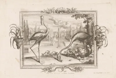 Twee flamingo's