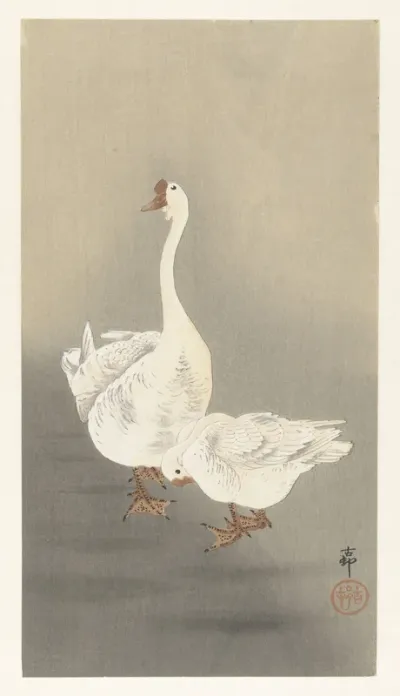 Twee ganzen