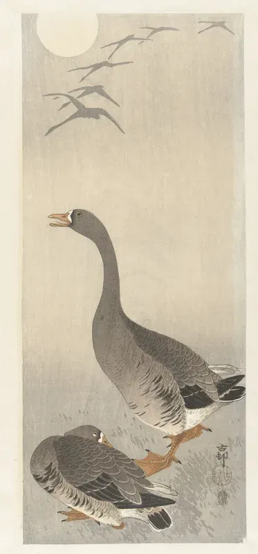 Twee ganzen