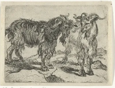 Twee geiten