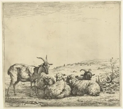 Twee geiten en drie schapen