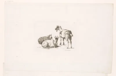 Twee geiten en een bok
