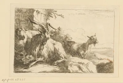 Twee geiten en een schaap