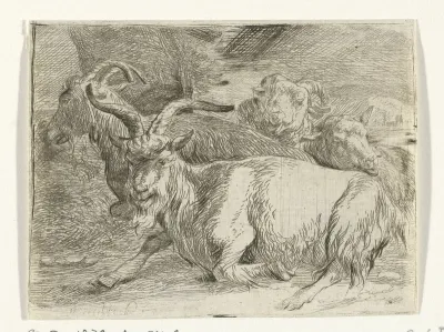 Twee geiten en twee schapen