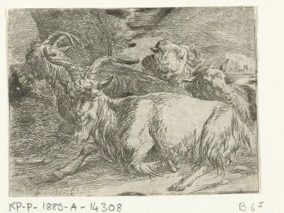 Twee geiten en twee schapen