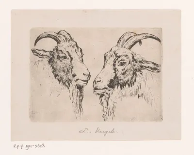 Twee geitenkoppen