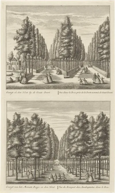 Twee gezichten op de bossen bij Alkmaar