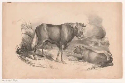 Twee gnoes