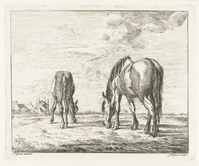Twee grazende paarden