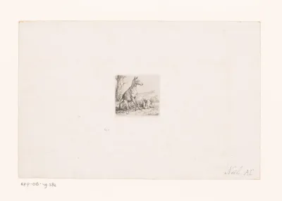 Twee hazewindhonden in een landschap