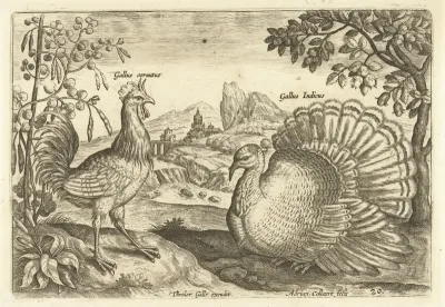 Twee hoenderen in een landschap