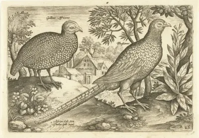 Twee hoenders in een landschap