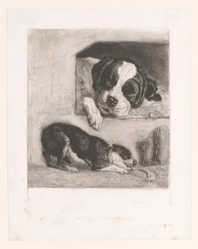 Twee honden