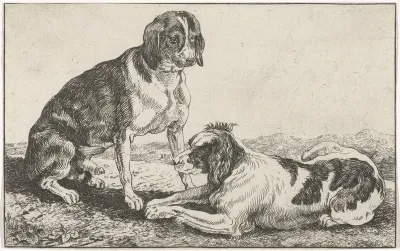 Twee honden