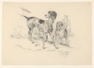 Twee honden