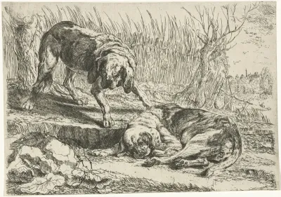 Twee honden