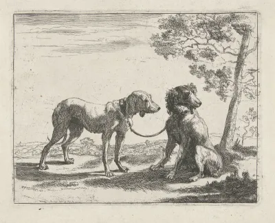 Twee honden