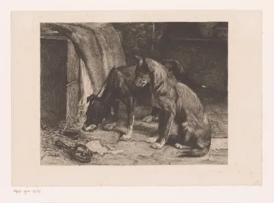 Twee honden bij een rattenval