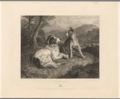 Twee honden in een landschap