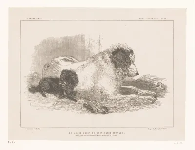 Twee honden in het hooi