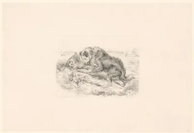 Twee honden met een kikker