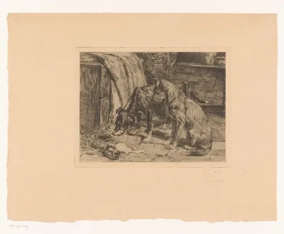 Twee honden op de loer