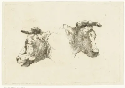 Twee hoofden van koeien