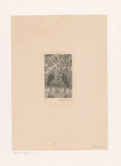 Twee ibissen