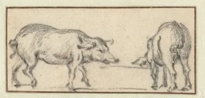 Twee jonge varkens bij een trog