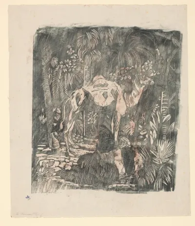 Twee kamelen