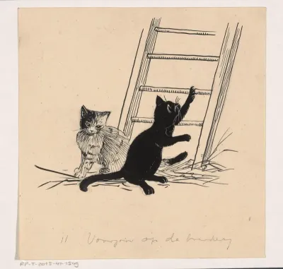 Twee katten in het stro bij een ladder