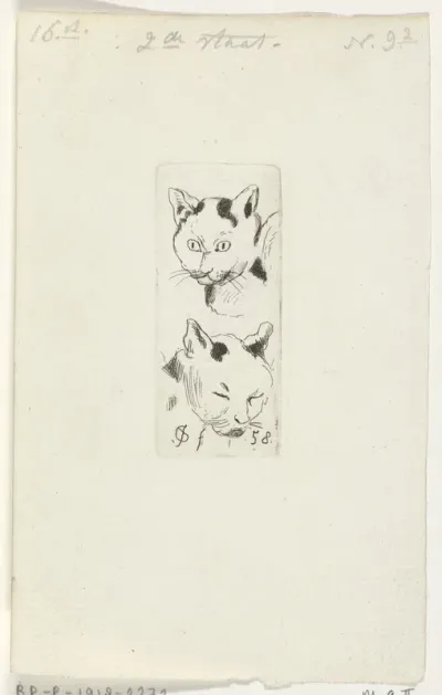 Twee katten koppen