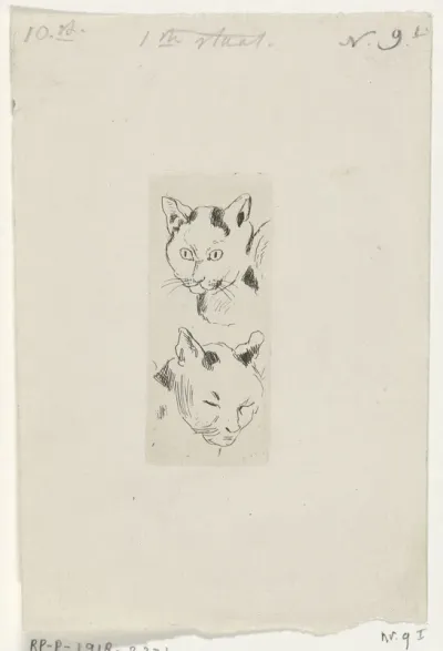 Twee katten koppen